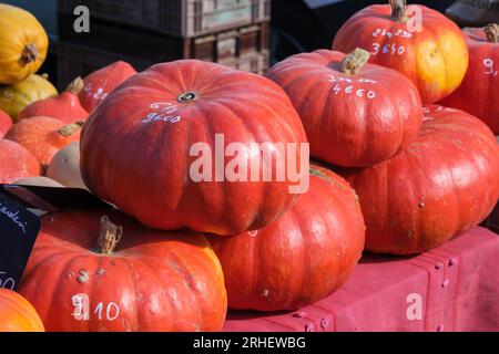 Un mucchio di zucche rosse sul mercato Foto Stock