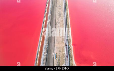 Vista aerea del lago salato rosa. Gli impianti di produzione del sale hanno evaporato lo stagno salamoia in un lago salato. Salin de Giraud saline nella Camargue in Provenza. Foto Stock