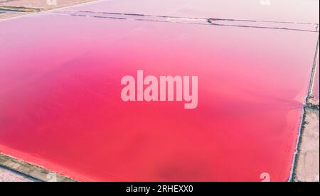 Vista aerea del lago salato rosa. Gli impianti di produzione del sale hanno evaporato lo stagno salamoia in un lago salato. Salin de Giraud saline nella Camargue in Provenza. Foto Stock