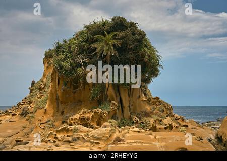 Heping Island Park, un parco con formazioni rocciose con forme speciali causate dal forte vento erodono l'area costiera nel corso degli anni, il distretto di Zhongzheng, Keelung Foto Stock