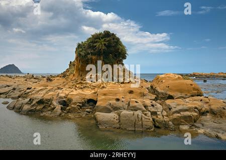 Heping Island Park, un parco con formazioni rocciose con forme speciali causate dal forte vento erodono l'area costiera nel corso degli anni, il distretto di Zhongzheng, Keelung Foto Stock