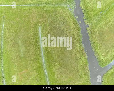 vista aerea delle terre umide nel porto di sag, new york Foto Stock