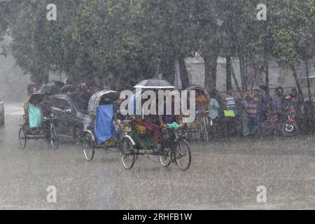 Dhaka, Bangladesh. 16 agosto 2023. Persone che usano la plastica come ombrello durante la passeggiata per strada durante le piogge a Dacca, Bangladesh, il 16 agosto 2023. Foto di Habibur Rahman/ABACAPRESS.COM Credit: Abaca Press/Alamy Live News Foto Stock