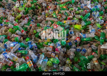 Diversi tipi di bottiglie di plastica raccolte per il riciclaggio a Dacca, Bangladesh. Foto Stock