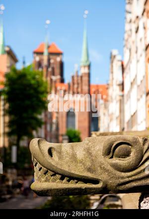Danzica Polonia decorazione in pietra scolpita stilizzata testa di drago gargoyle in via Mariacka con vista sulla Chiesa di Santa Maria a Danzica, Polonia, Europa, UE Foto Stock