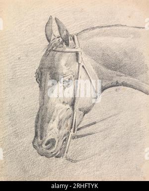 Testa di un cavallo che indossa una briglia di Henry Thomas Alken Foto Stock