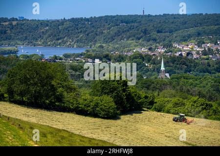 Lago Baldeney ad Essen, vista a ovest, sul distretto di Kupferdreh, da Velbert, contadino che trasforma fieno appena tagliato, NRW, Germania Foto Stock