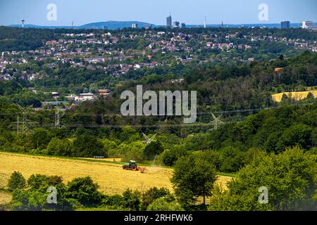 Lo skyline di Essen, grattacieli nel centro della città, vista a ovest, sul quartiere di Heisingen, da Velbert, contadino che gira fieno appena tagliato, N Foto Stock