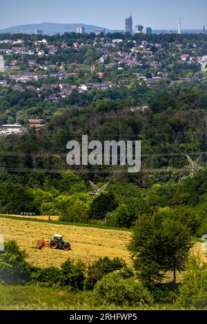Lo skyline di Essen, grattacieli nel centro della città, vista a ovest, sul quartiere di Heisingen, da Velbert, contadino che gira fieno appena tagliato, N Foto Stock
