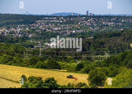 Lo skyline di Essen, grattacieli nel centro della città, vista a ovest, sul quartiere di Heisingen, da Velbert, contadino che gira fieno appena tagliato, N Foto Stock