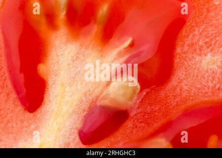 Succose semi di polpa di pomodoro rosso a fette e consistenze. Primo piano sul lato interno di una fetta di pomodoro fresco, struttura a polpa Foto Stock