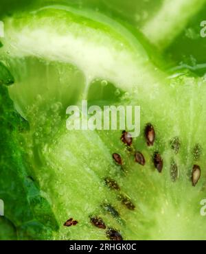 Lime e kiwi. Sfondo di fette di agrumi. Foto Stock