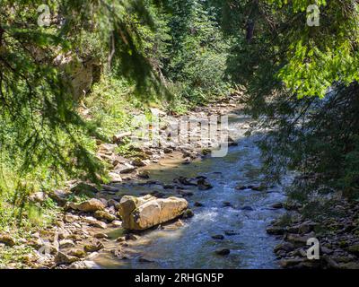 Piccolo fiume che scorre rapidamente e vividamente attraverso la sua valle rocciosa selvaggia Foto Stock