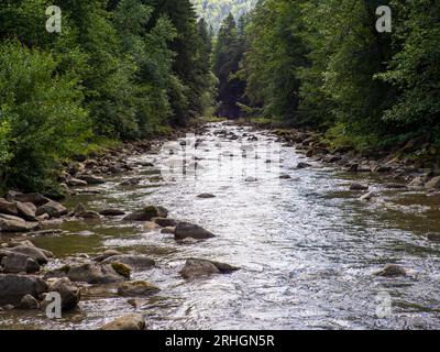 Piccolo fiume che scorre rapidamente e vividamente attraverso la sua valle rocciosa selvaggia Foto Stock