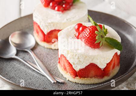 Il Fraisier è un tradizionale e classico dessert francese preparato in estate con fragole fresche in primo piano sul piatto sul tavolo. Orizzontale Foto Stock
