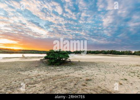Un tramonto spettacolare e colorato sul Sahara di Lommelse, un parco nazionale con dune di sabbia in Belgio con bellissimi riflessi nel lago del clo Foto Stock
