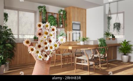 Mano di donna che tiene margherite, idea di primavera e fiori, sopra la cucina e la sala da pranzo con piante domestiche, design degli interni della giungla urbana Foto Stock