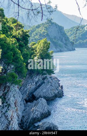 Scogliere illuminate dal sole, coperte da rami di alberi sempreverdi, a Petrovac na Moru, Montenegro. Foto Stock