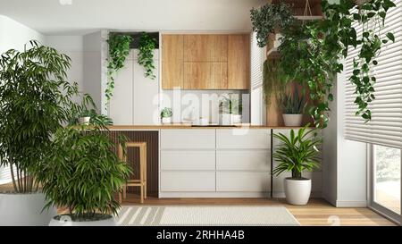 Interni Zen con piante di bambù in vaso, design naturale degli interni, sala da pranzo e cucina con isola, armadi ed elettrodomestici, giungla urbana, in Foto Stock