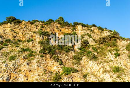 Scogliere illuminate dal sole, coperte da rami di alberi sempreverdi, a Petrovac na Moru, Montenegro. Foto Stock