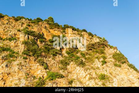 Scogliere illuminate dal sole, coperte da rami di alberi sempreverdi, a Petrovac na Moru, Montenegro. Foto Stock