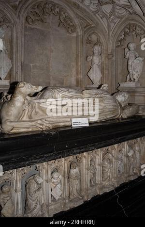 Tomba di Margherita o Margherita di Borbone (1438 - 1483), ispirazione per la ricostruzione dei primi anni '1500 del monastero reale di Brou a Bourg-en-Bresse, Auvergne-Rhône-Alpes, Francia. La tomba di Margherita, insieme a quella di suo figlio, Filiberto II (1480 - 1504), duca di Savoia, e di sua nuora, Margherita d'Austria (1480 - 1530), duchessa di Savoia, si trova nella chiesa abbaziale del monastero di Brou, dedicata a San Nicola di Tolentino e conosciuta in francese come Église Saint-Nicolas-de-Tolentin de Brou. Foto Stock