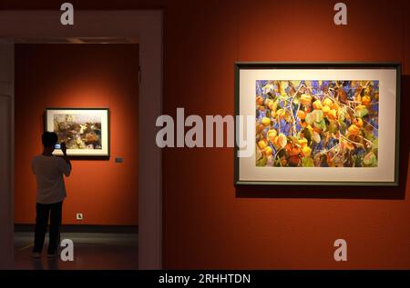 Qingdao, provincia cinese di Shandong. 17 agosto 2023. Un visitatore scatta foto di un acquerello durante una mostra al Museo d'arte di Qingdao nel distretto di Shinan di Qingdao, nella provincia di Shandong della Cina orientale, 17 agosto 2023. La mostra presenta 120 dipinti ad acquerello di 40 artisti provenienti da tutto il paese. Crediti: Li Ziheng/Xinhua/Alamy Live News Foto Stock