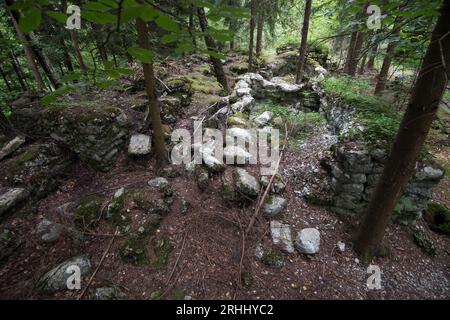 Migliaia di sacchi di cemento fossilizzati presso il deposito di materiali edili vicino al complesso Wlodarz del progetto Riese a Gluszyca, Polonia. Nel 1943 la Germania nazista Foto Stock