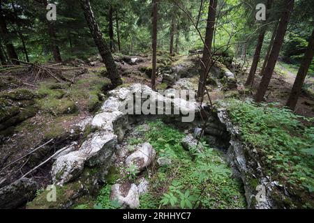 Migliaia di sacchi di cemento fossilizzati presso il deposito di materiali edili vicino al complesso Wlodarz del progetto Riese a Gluszyca, Polonia. Nel 1943 la Germania nazista Foto Stock