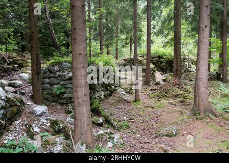 Migliaia di sacchi di cemento fossilizzati presso il deposito di materiali edili vicino al complesso Wlodarz del progetto Riese a Gluszyca, Polonia. Nel 1943 la Germania nazista Foto Stock