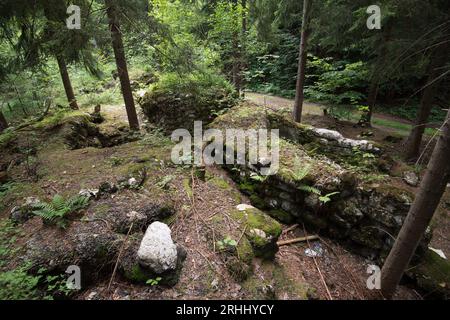 Migliaia di sacchi di cemento fossilizzati presso il deposito di materiali edili vicino al complesso Wlodarz del progetto Riese a Gluszyca, Polonia. Nel 1943 la Germania nazista Foto Stock