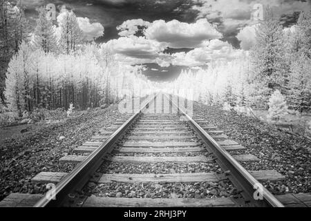 Binari ferroviari nella contea di Lassen, California, Stati Uniti. Incredibile immagine a infrarossi in bianco e nero. Foto Stock