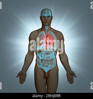 Serie illustrativa: Corpo con organi umani. Immagine 5 di 10 Foto Stock