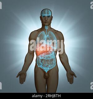 Serie illustrativa: Corpo con organi umani. Immagine 6 di 10 Foto Stock