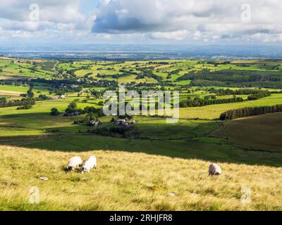 Guardando verso il basso su Caldbeck e sul Solway Firth e la Scozia da Caldbeck Fells, Lake District, Regno Unito. Foto Stock