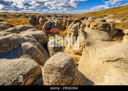 Hoodoos in arenaria scolpiti dall'erosione dell'acqua e del vento nel Written-on-Stone Provincial Park Alberta Foto Stock