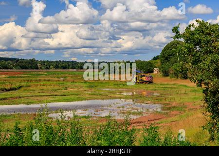 Alcuni dei massicci lavori di terra coinvolti nel Lower River Otter Restoration Project a Budleigh Salterton, Devon, Inghilterra, Regno Unito Foto Stock