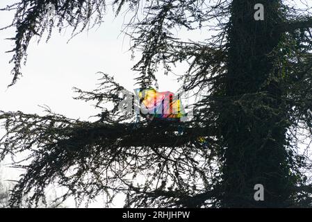 Un aquilone colorato bloccato nei rami di un albero Foto Stock