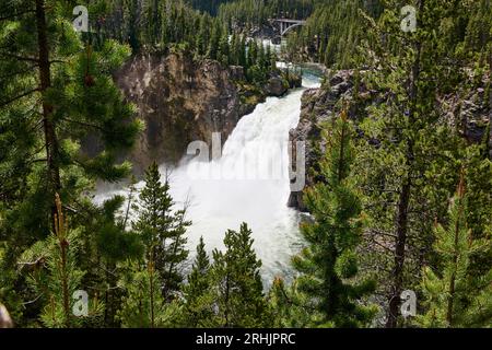 Cascate superiori del fiume Yellowstone, parco nazionale di Yellowstone, Wyoming, Stati Uniti d'Americaa Foto Stock