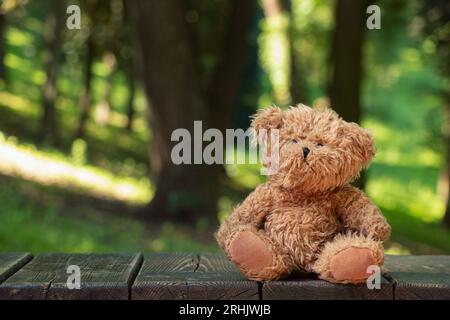 Gli orsacchiotti siedono su una tavola di legno sotto il sole in Ucraina in estate nei parchi, un giocattolo per bambini sullo sfondo Foto Stock