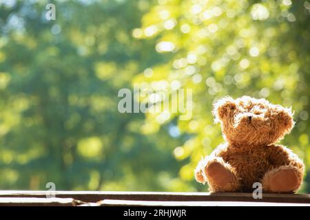 Gli orsacchiotti siedono su una tavola di legno sotto il sole in Ucraina in estate nei parchi, un giocattolo per bambini sullo sfondo Foto Stock