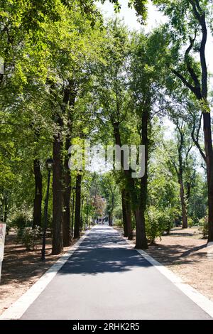 Una foto scattata nel parco di Chisinau Foto Stock