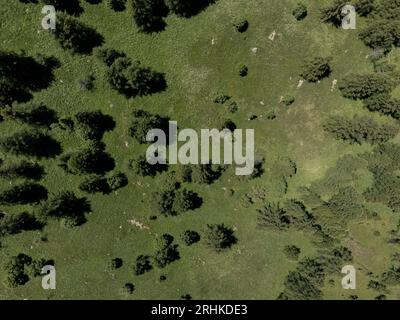 Colle della Maddalena, Cuneo, Piemonte (Italia). Luglio 2023. Panorama aereo delle cime che circondano il confine alpino tra Italia e Francia Foto Stock