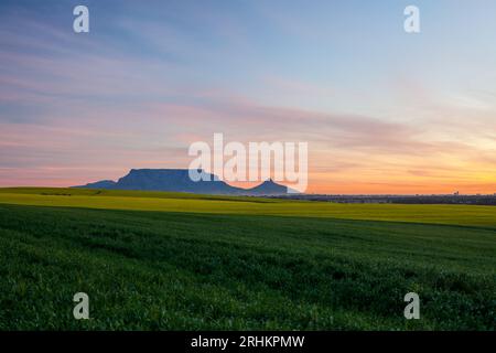 Fotografa il paesaggio di Table Mountain con colture di canola e grano in primo piano, con splendide nuvole che viaggiano per l'agricoltura turistica di città del Capo Foto Stock