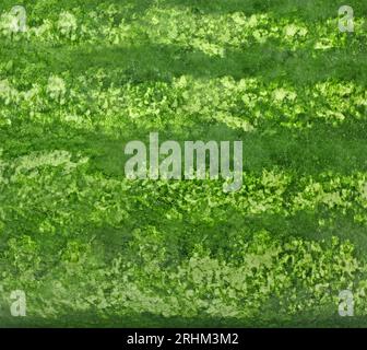 Crosta verde di cocomero come sfondo, primo piano Foto Stock