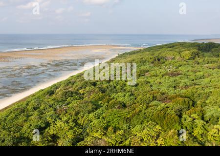 Paesaggio aereo della giungla su Little Andaman Island, Andamans, India. Vista aerea del paesaggio marino della giungla sull'isola tropicale nell'Oceano Indiano. Foto Stock