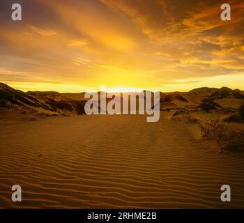 Dawn, Dunes, Pismo state Beach, San Luis Obispo County, California Foto Stock