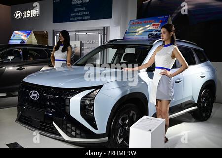 Il 12° Expo Internazionale dell'Automobile della Cina Occidentale (Lanzhou) apre a Lanzhou City, nella provincia del Gansu della Cina nordoccidentale, il 16 agosto 2023. Foto Stock