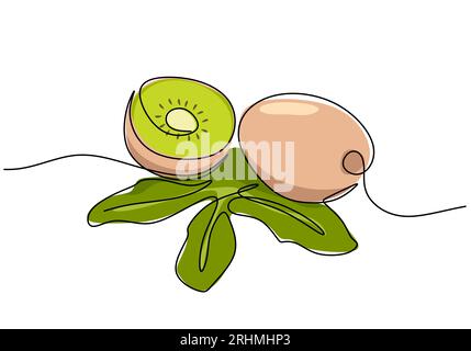 Disegno continuo a una linea Kiwi, illustrazione del vettore di frutta. Illustrazione Vettoriale