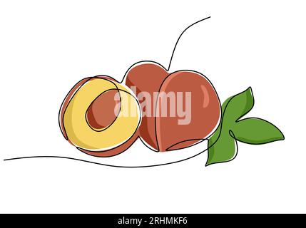 Disegno continuo a una linea Peach, illustrazione del vettore di frutta. Illustrazione Vettoriale